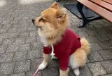 りんくうプレミアム・アウトレット
