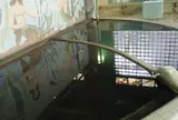 浅草観音温泉