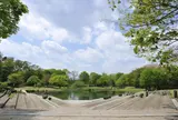 清瀬市立清瀬金山緑地公園