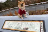 吉備SA (下り)