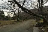 福岡城 本丸御殿跡