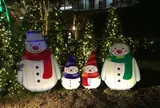 警固公園