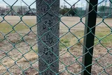 鳥羽離宮跡