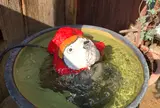 松右衛門帆