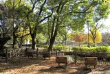 戸山公園（交通公園）