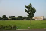 平和の森公園