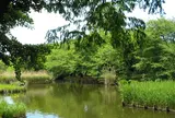 善福寺公園