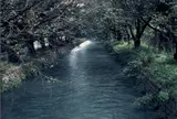 玉川上水