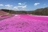 市貝町芝ざくら公園