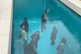 金沢21世紀美術館