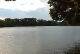 洗足池