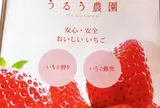 うるう農園（いちご狩り、いちご直販）