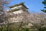 小田原城址公園