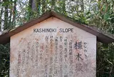 旧東海道（箱根旧街道）橿木坂