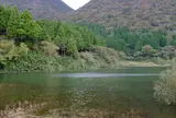 お玉ケ池