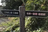 旧東海道（箱根旧街道） 下長坂（こわめし坂）