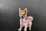 波の上うみそら公園