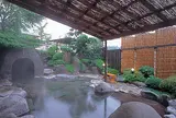 ゆとろ嵯峨沢の湯