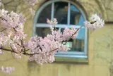 旧京都市立下京中学校成徳学舎