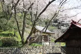 八坂神社