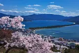 傘松公園
