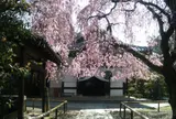 養源院