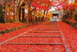 興聖寺
