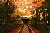 高桐院