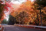 嵐山−高雄パークウェイ
