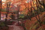常寂光寺