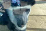 よこはま動物園ズーラシア
