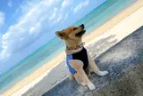 ムーンビーチ