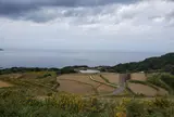 東後畑棚田
