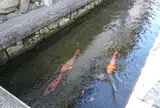 起し太鼓の里