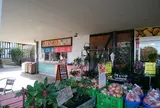 道の駅ローズマリー公園 はなまる市場内 おさかな丼屋とと丸