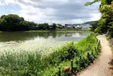 上原堤（宗旦池）