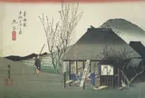 鞠子宿