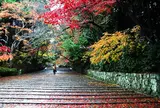 光明寺