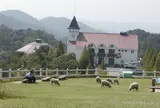 神戸市立六甲山牧場