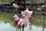 東神苑