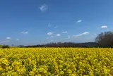 あわじ花さじき