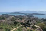 牛窓オリーブ園