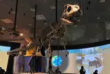 国立科学博物館