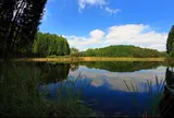 龍王ヶ淵