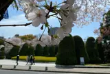 平和記念公園