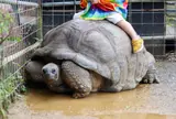 ネオパークオキナワ