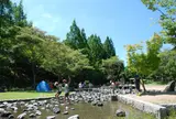 播磨中央公園