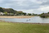 21世紀の森と広場 木もれ陽の森