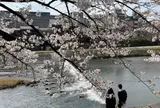 鴨川