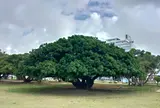 新都心公園